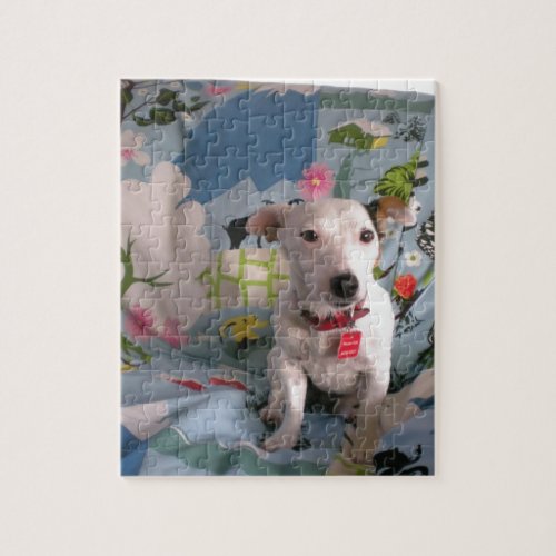 Jack Russell Terrier Jigsaw Puzzle