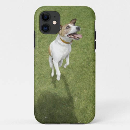 Jack russell terrier jumping elevated view iPhone 11 case