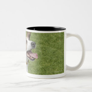Jack russell terrier jumping, elevated view Two-Tone coffee mug