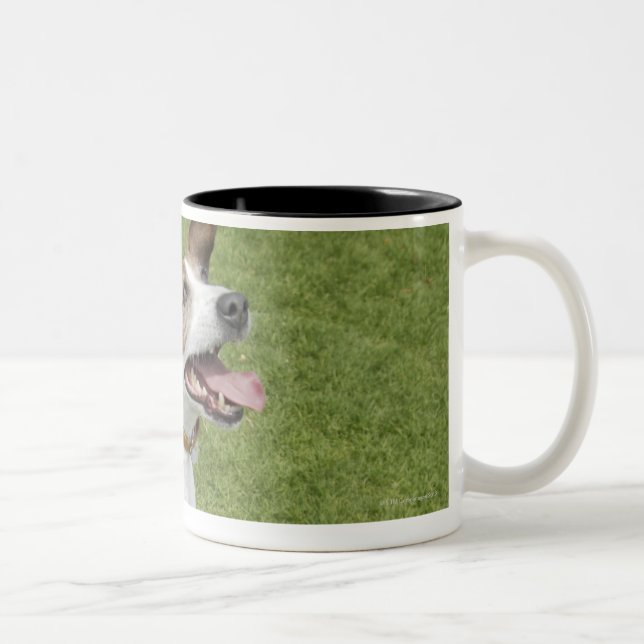 Jack russell terrier jumping, elevated view Two-Tone coffee mug (Right)