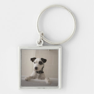 Jack russell terrier. keychain