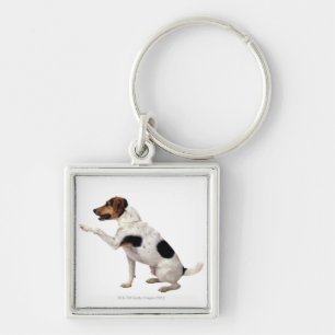 Jack Russell Terrier Lifting Paw Keychain