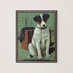Jack Russell Terrier Looking for a Forever Home Jigsaw Puzzle