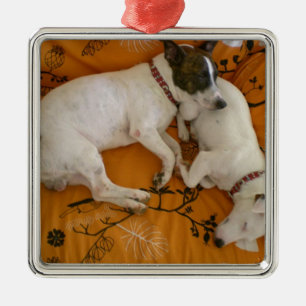 Jack Russell Terrier Metal Ornament
