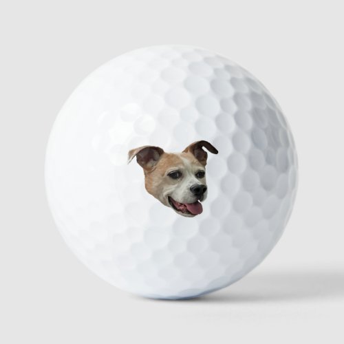 Jack Russell Terrier Mix Golf Balls