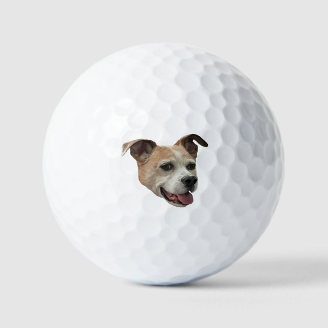 Jack Russell Terrier Mix Golf Balls (Front)