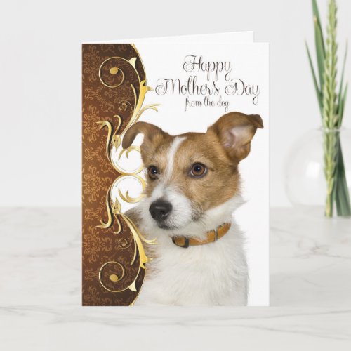 Jack Russell Terrier Mothers Day Card