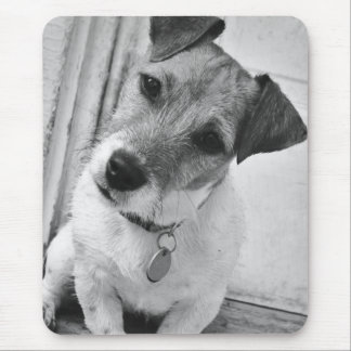Jack Russell Terrier Mouse Pad