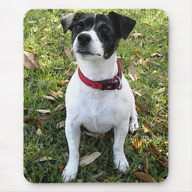 JACK RUSSELL TERRIER MOUSE PAD (Front)