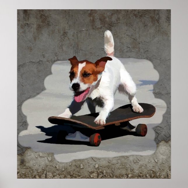 Jack Russell Terrier on Skateboard Poster (Front)