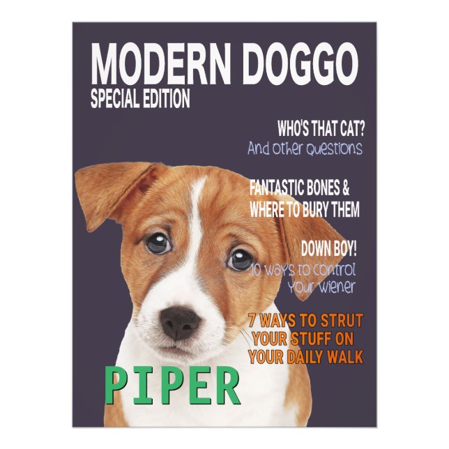 Jack Russell Terrier Parody Magazine Cover Photo Print (Front)