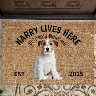 Life is Better With Dogs Doormat Dog Welcome Mat Vintage Retro Style Dog  Lover Porch Decor Paw Print Dog Owner Home Coir Door Mat 