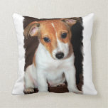 Jack Russell Terrier Pillow