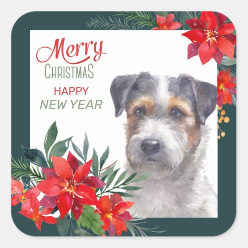 Jack Russell Terrier Poinsettia Border Christmas Square Sticker