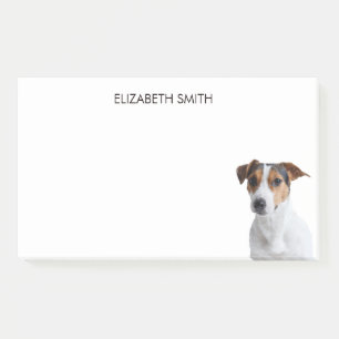 Jack Russell Terrier Post-it Notes