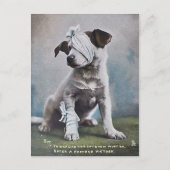 Jack Russell Terrier Postcard by Past_Impressions at Zazzle