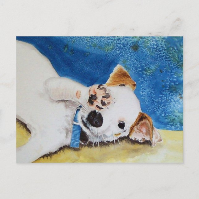 Jack Russell Terrier Postcard (Front)
