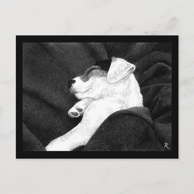 Jack Russell Terrier Pup Postcard - "Bliss" (Front)