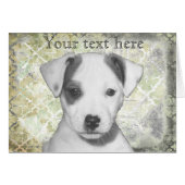 Jack Russell Terrier Puppy (Front Horizontal)