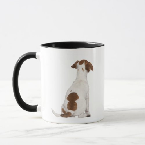 Jack Russell Terrier puppy 3 months old Mug