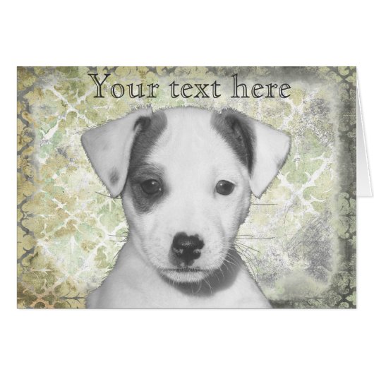 Jack Russell Terrier Puppy Cards (Front Horizontal)