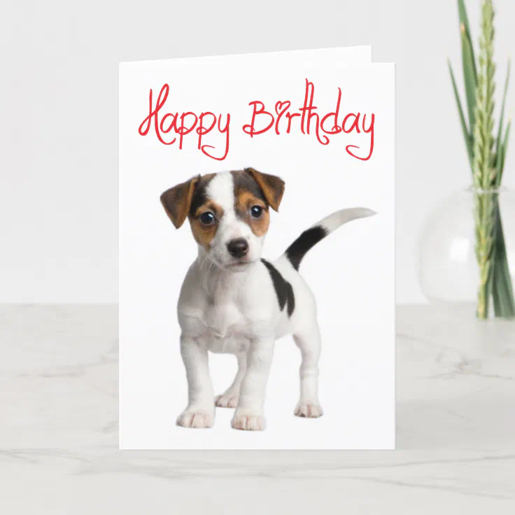 Jack Russell Puppy Dog Personalised Birthday Greetings Card 
