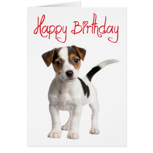 Elegant 100 Card Birthday Jack Russell Elegant 100 Card Birthday Jack Russell
