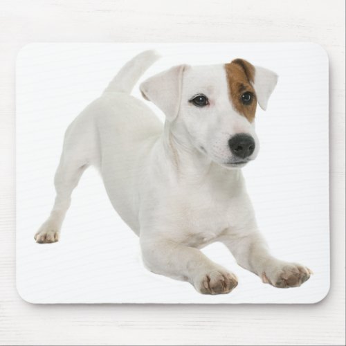 Jack Russell Terrier Puppy Dog Love Mouse Pad