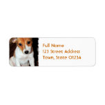 Jack Russell Terrier Puppy Dog Mailing Label