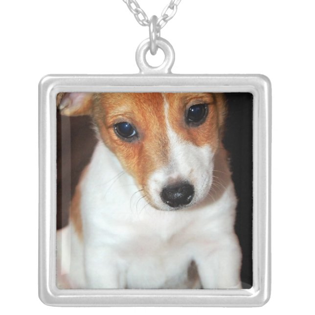 Jack Russell Terrier Puppy Dog Necklace (Front)