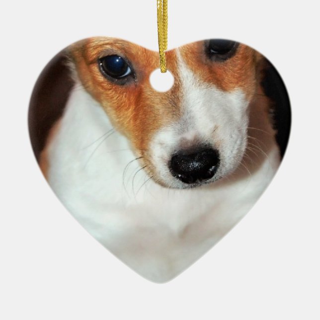 Jack Russell Terrier Puppy Dog Ornament (Front)