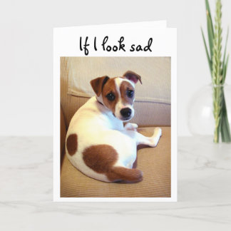 Jack Russell Terrier puppy greeting card