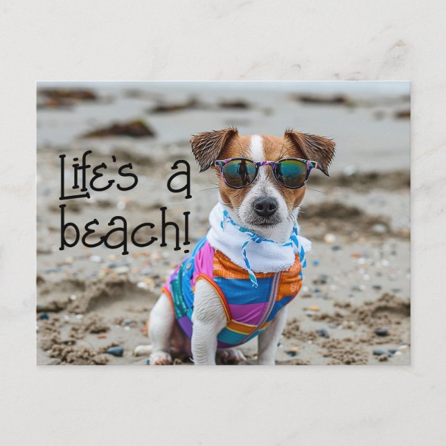 Jack Russell Terrier Puppy wearing sunglasses Postcard (Front)