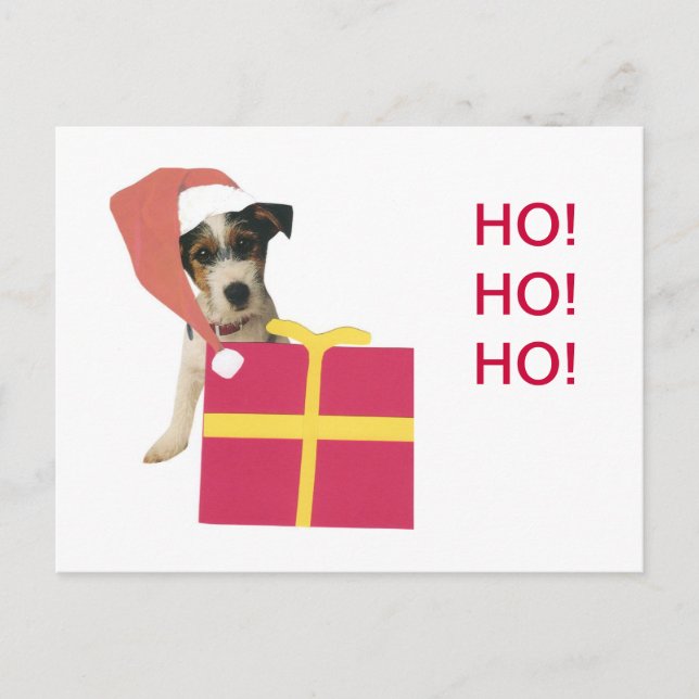 Jack Russell Terrier Santa Hat Holiday Postcard (Front)