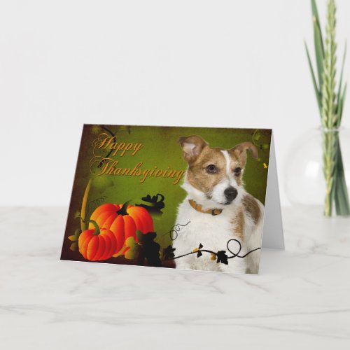 Jack Russell Terrier Thanksgiving Card