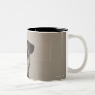 Jack russell terrier. Two-Tone coffee mug