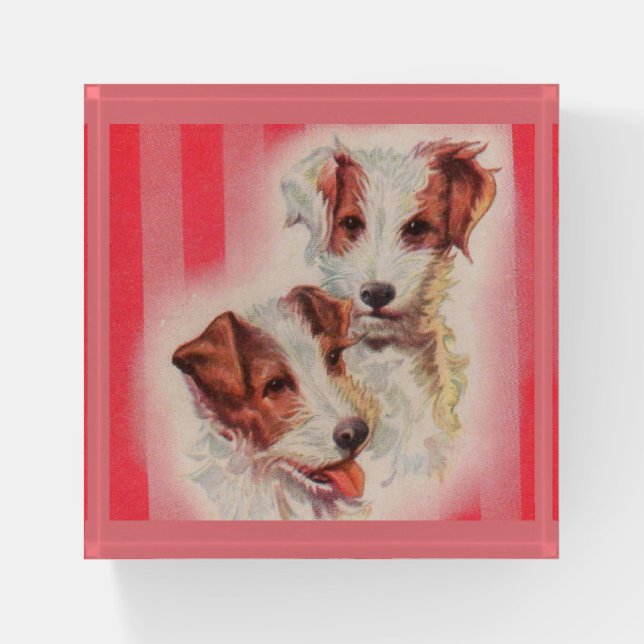 Jack Russell terriers Paperweight (Front)