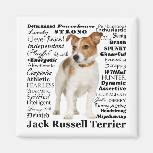 Jack Russell Traits Magnet (Front)