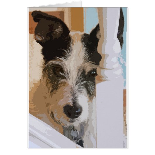 JACK RUSSELL WATCHES (Front)