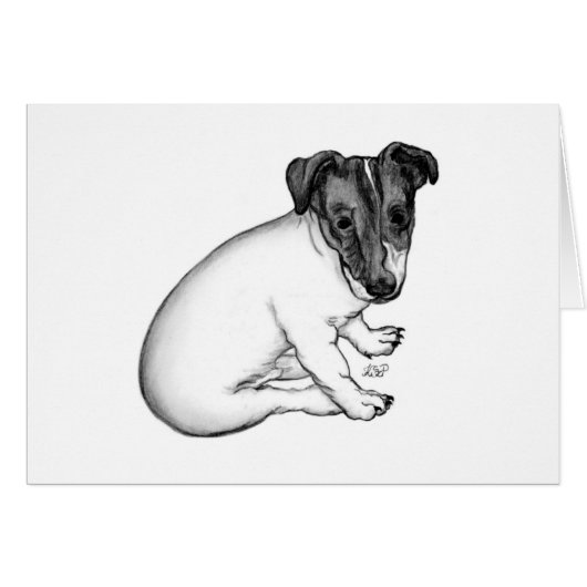 Jack Russell Welpe 10 Wochen alt Cards (Front Horizontal)