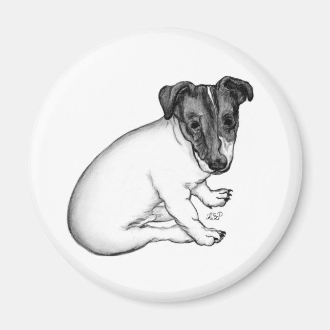 Jack Russell Welpe 10 Wochen alt Magnet (Front)