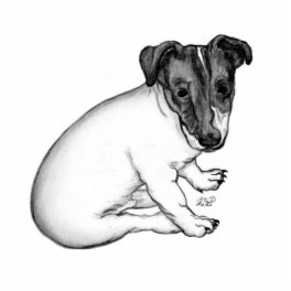 Jack Russell Welpe 10 Wochen alt Statuette