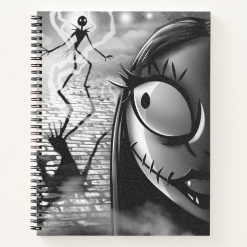 Jack  Sally  Misfit Love Notebook