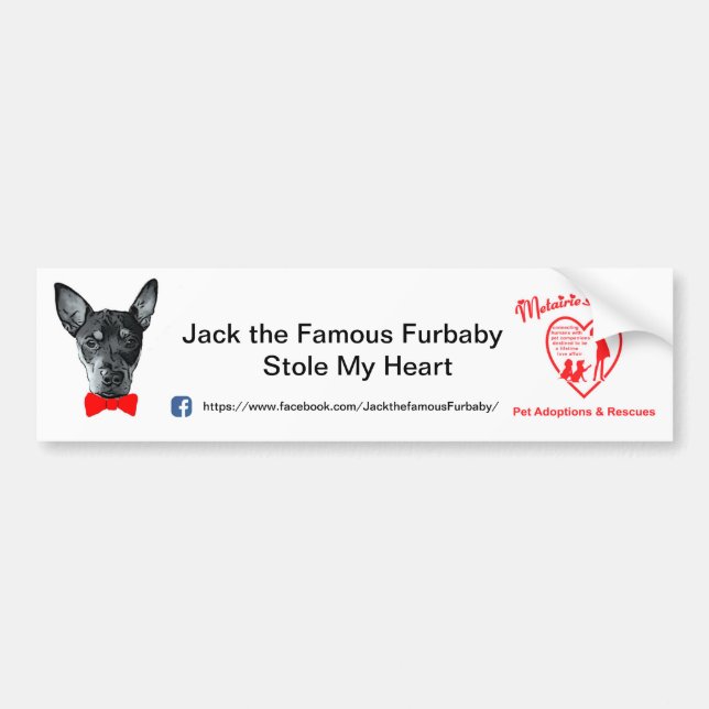 Jack the Famous Furbaby Bumpersticker Bumper Sticker (Front)