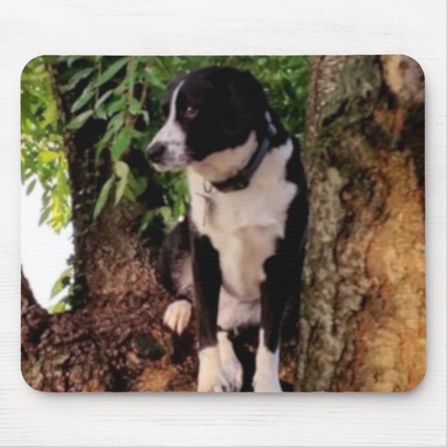 JACK the WONDER DOG Mouse Pad (Front)
