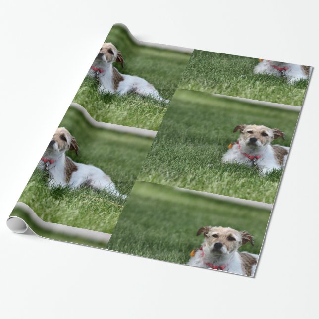 Jack  wrapping paper (Unrolled)