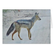 Jackal (Front Horizontal)