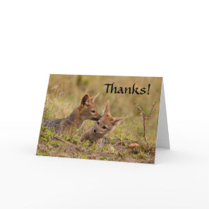 Jackal Cub Thank You Card