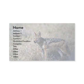 Jackal hunting business card