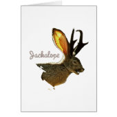 Jackalope (Front)